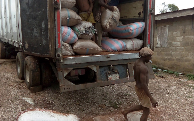 Natural cocoa powder